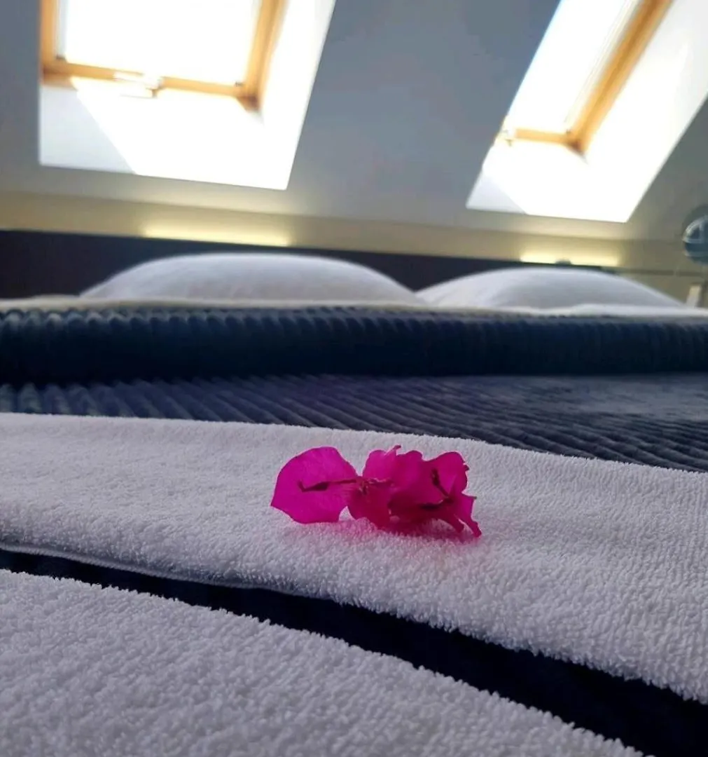 Синьо Лято Burgas Appartement